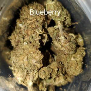 Blueberry strain THC medical marijuana Cannabis weed bud delivery dispensary Mississauga GTA Oakville Kitchener Cambridge Waterloo Ontario