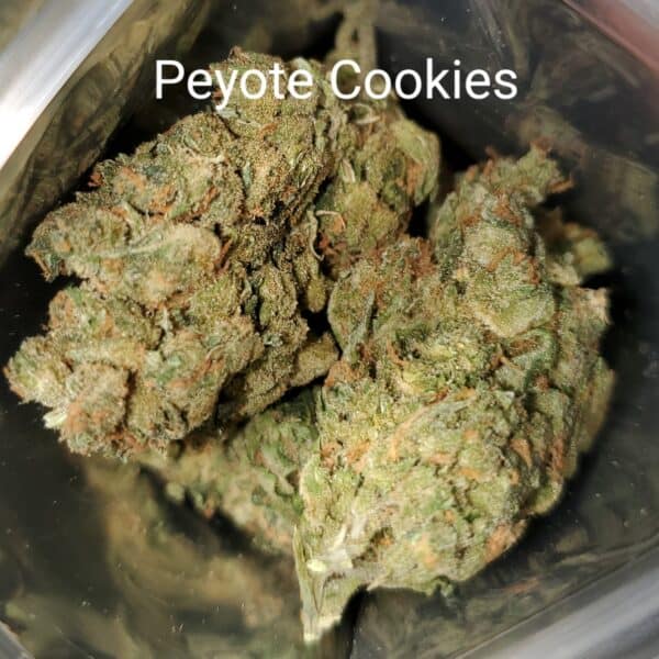 Peyote Cookies AA++ Cannabis Strain Marijuana Weed Bud Delivery Dispensary