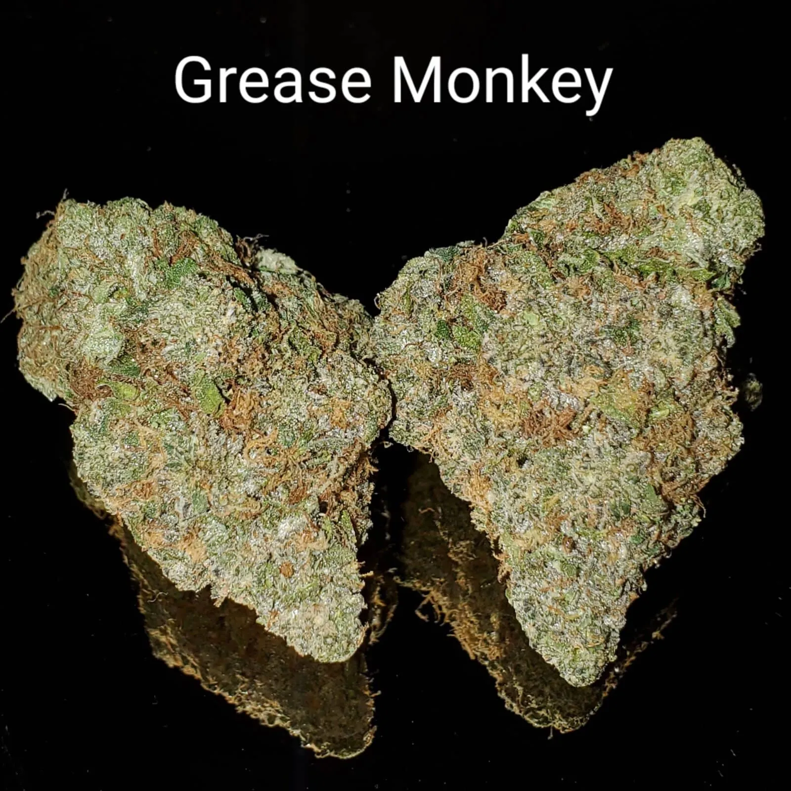 Grease Monkey