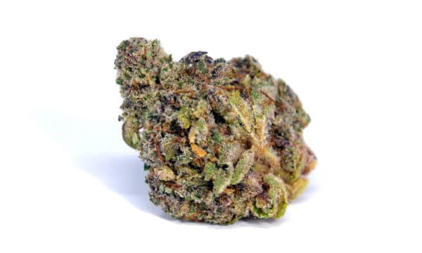 Pink Cosmo *Indica*