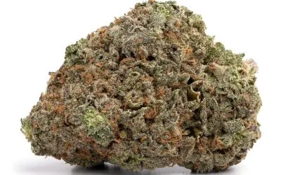 Pineapple Chunk