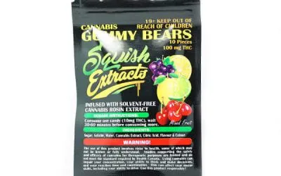 Gummy Bears 100mg THC (Squish Extracts)