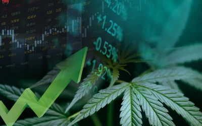 Top 8 Cannabis Stocks for March 2024