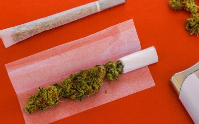 7 Easy Steps to Rolling a Joint