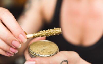 What is Kief: Definition and Practical Applications