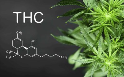 What is Delta-8 THC: Essential Information About This Cannabis Compound