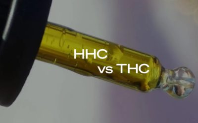 HHC (Hexahydrocannabinol): Benefits, Risks, and Additional Details