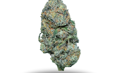 Alaskan Thunder F*ck – Hybrid Bulk