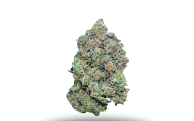 Superman Pink – Indica Bulk