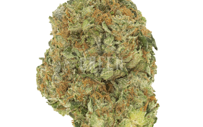 Heat Wave – Sativa BULK