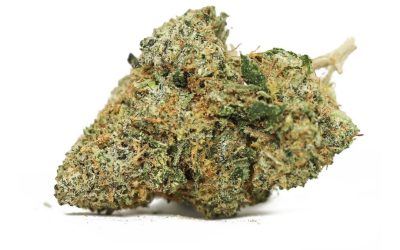 Stinky Pink – Indica BULK