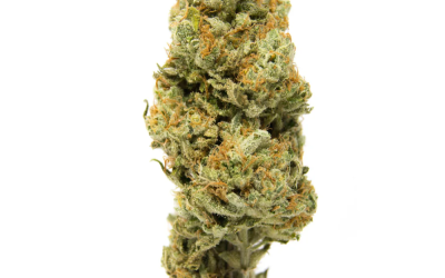 Recon – Indica Bulk