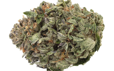 Death Bubba – Indica Bulk