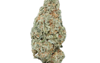 Very Berry – Sativa Bulk