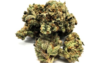 Bubba Crunch – Indica BULK