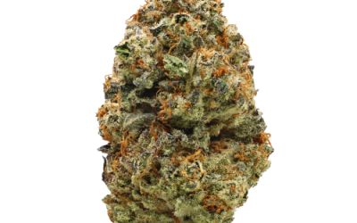 Rainbow Cookies – Sativa