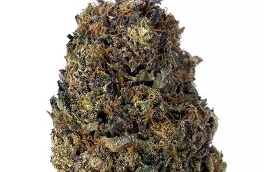 Pink Kush – AAAA