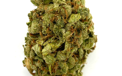 MANGO OG – SATIVA