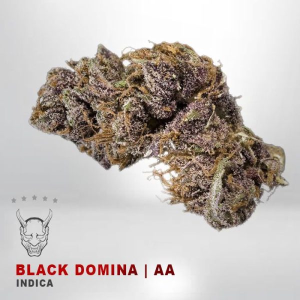 Black Domina - AA - $75/Oz