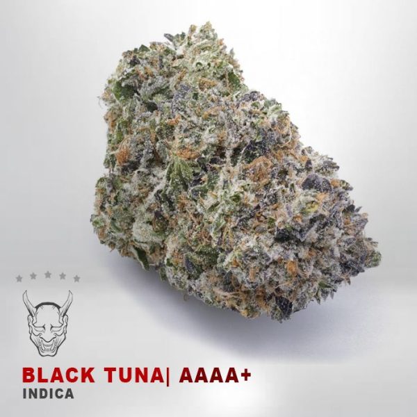 Black Tuna - AAAA+