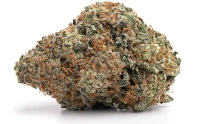 Cali Mints – Hybrid