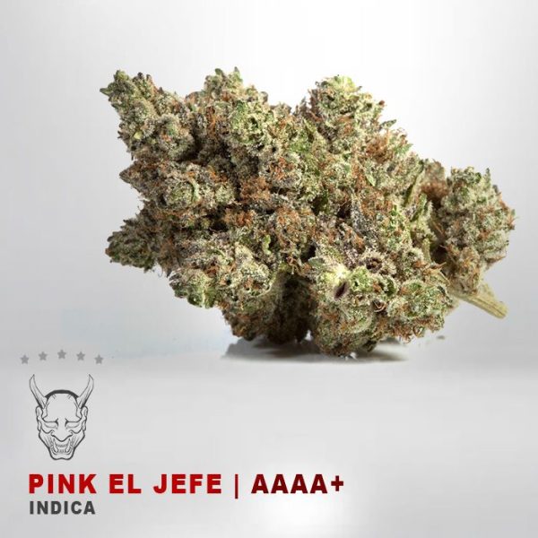 Pink El Jefe - AAAA+