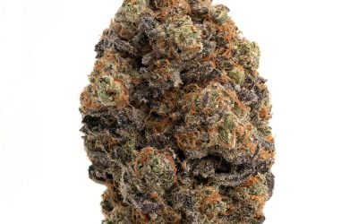 Pink Skunk – Indica