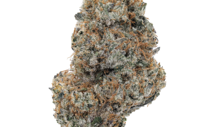 Platinum RS – Indica