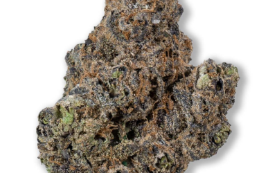 Purple Trainwreck – Indica