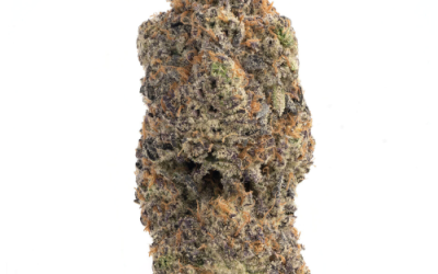 Slayer OG – Indica