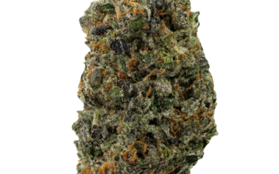 Gelato Pie – Sativa