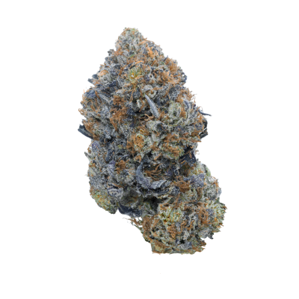 Pink Gas Mask LSO - Indica