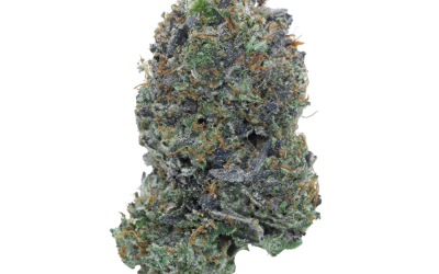 Island Pink LSO – Indica