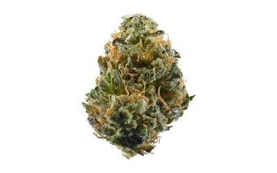 Nitro OG – Hybrid Bulk