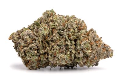 Pink Kush – Indica