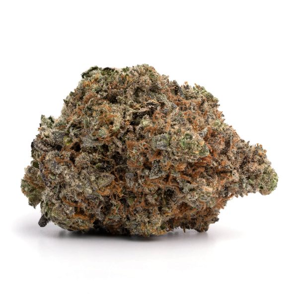 Blue Petrol - Indica