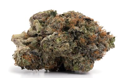 Cotton Candy LSO – Indica