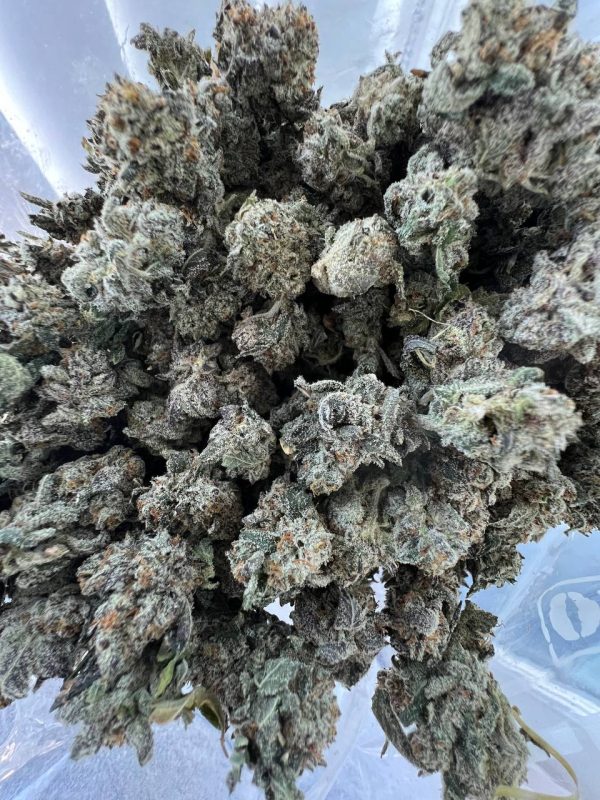 White Freezie Smalls - Hybrid