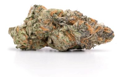 Birthday Cake – Sativa