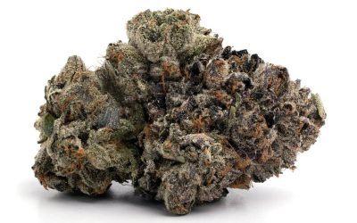 Pink Bubba LSO – Indica