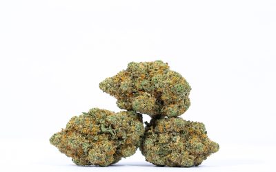 Maui Wowie – Sativa