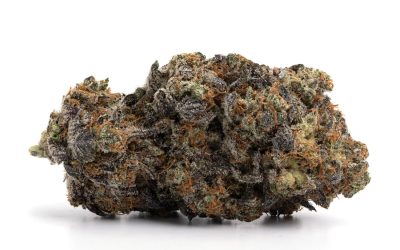 Pink AMG – Indica