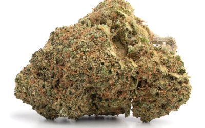 Pink Diamond – Indica