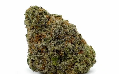 Pink Kush –  Indica