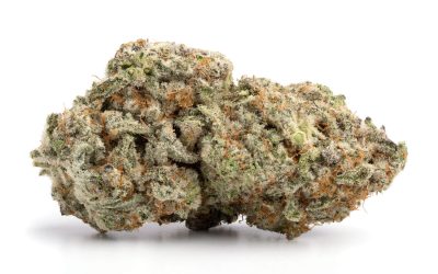 Strawberry Cough – Sativa