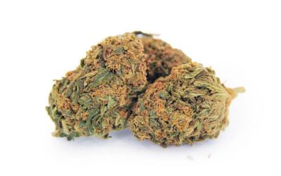 Orange Crush – Sativa