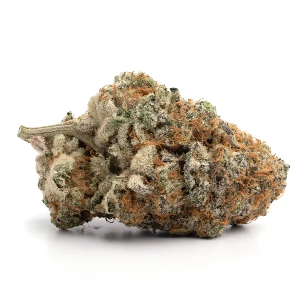 White Truffles - Sativa