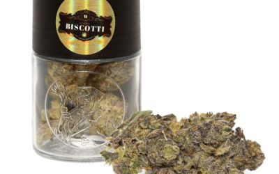 7G Waltz Premium Flower Jars – Sativa