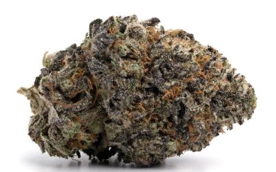 Passout Pink LSO – Indica