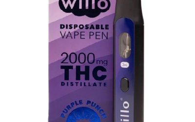 Willo 2g THC Disposable Pen